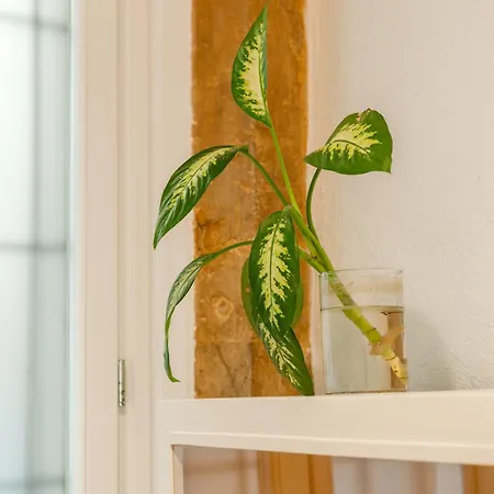 Di Grazia - Casa Di Charme Con Vista Mare Cagliari